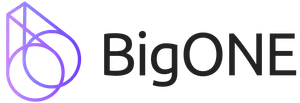 A purple line art teardrop shape followed by "BigONE" in black