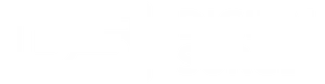 A white rectangle with rounded corners, with "DS" in negative relief, followed by "Digital Surge" in capitals.