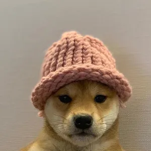 A shiba inu dog wearing a chunky light pink knit hat with a brim