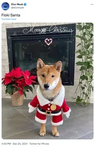 A tweet from Elon Musk reading "Floki Santa" and containing a photo: A shiba inu wearing a Santa suit stands in front of a fireplace. The text "Merry Christmas" has been superimposed atop it.