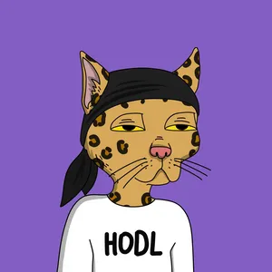 A leopard-spotted cat with half-lidded eyes, wearing a black doo-rag and white shirt with "HODL" printed on it, on a purple background