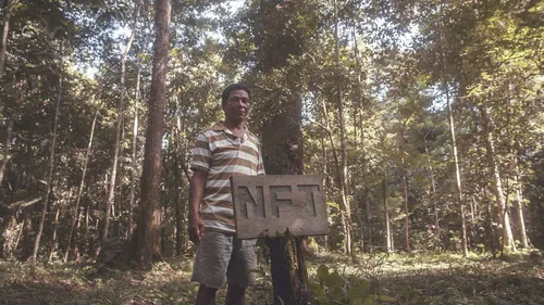 Brazilian authorities challenge NFT company Nemus after it claims ownership to land in the Amazon, allegedly pressures Indigenous people to sign documents they could not read